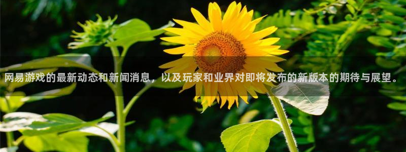 高德娱乐注册登录：网易游戏的最新动态和新闻消息，以及玩家和业