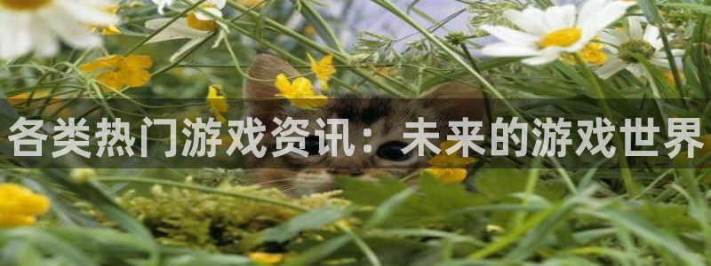 高德娱乐平台登陆：各类热门游戏资讯：未来的游戏世界