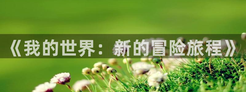 高德娱乐