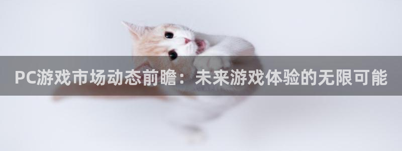高德娱乐app下载地址：PC游戏市场动态前瞻：未来游戏体验的